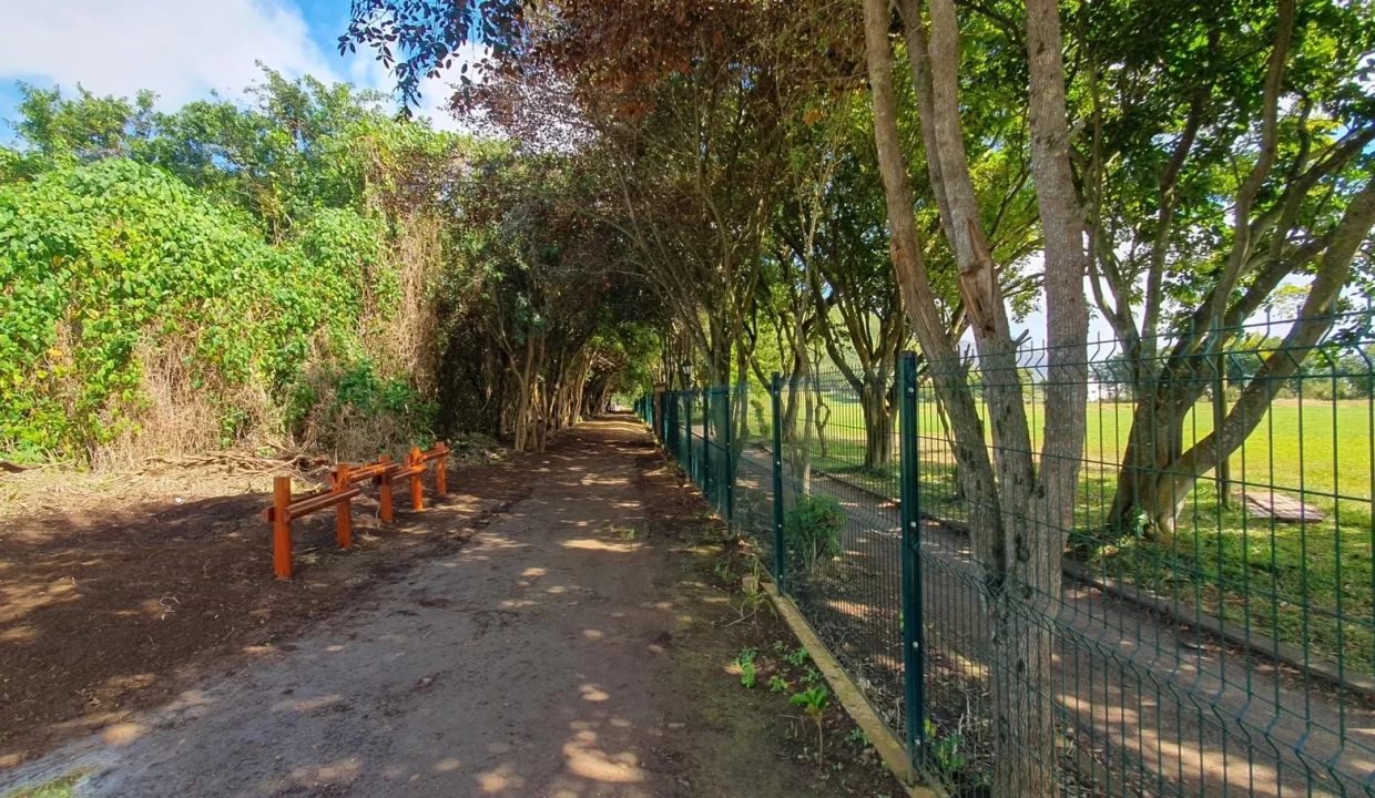 Freehold Residential Land For Sale – Sodnac 3