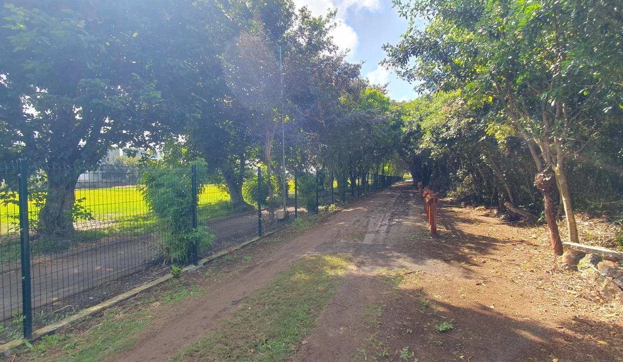 Freehold Residential Land For Sale – Sodnac 5