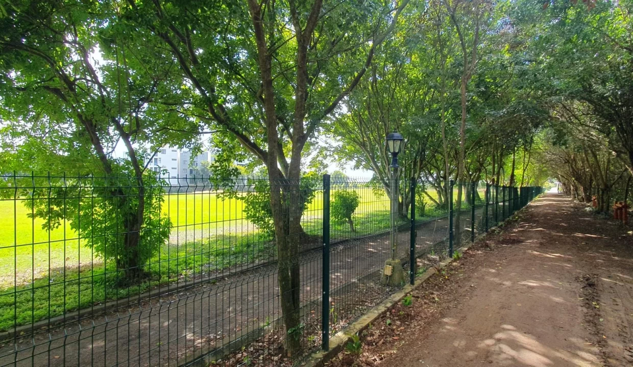 Freehold Residential Land For Sale – Sodnac 6