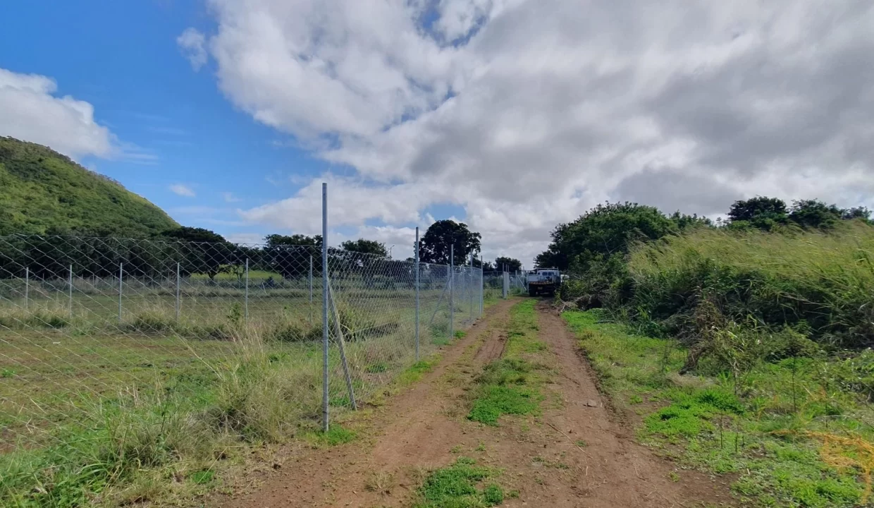 Freehold Residential Land For Sale – Sodnac 7