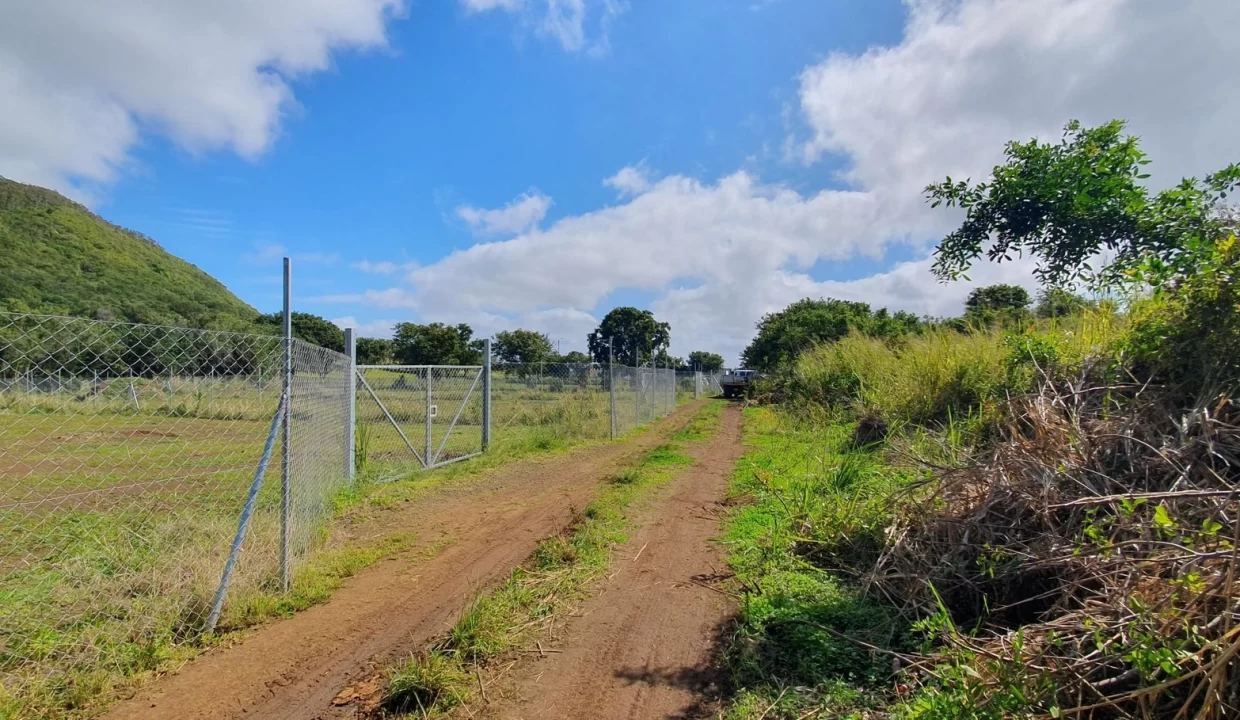 Freehold Residential Land For Sale – Sodnac 8