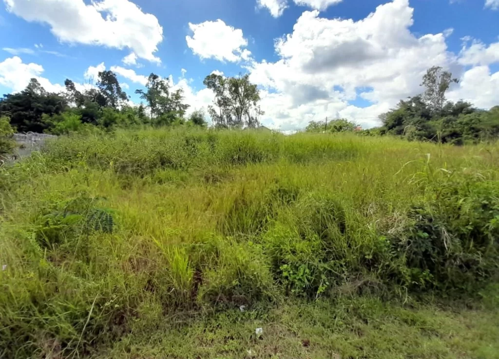 Land for sale in chinatown, Port louis