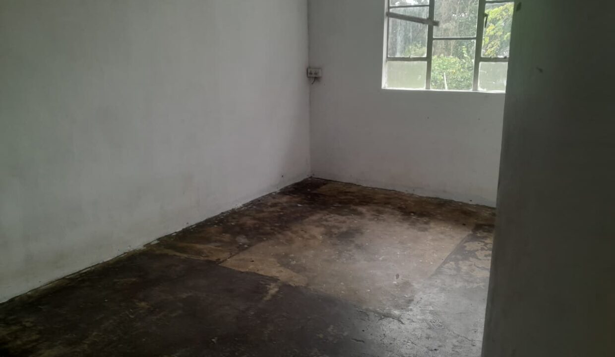 WhatsApp Image 2025-09-10 at 10.48.00 (1)