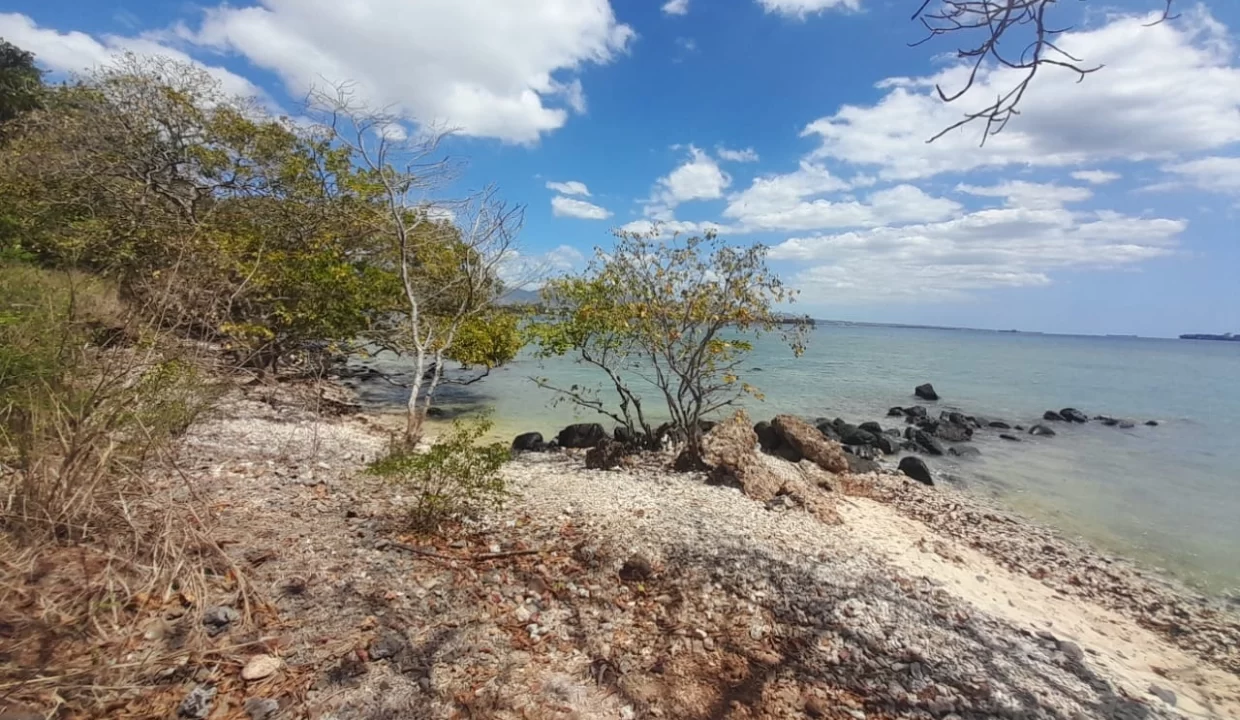 3 Arpents + 50 perches Beachfront Land For Sale – Balaclava 2