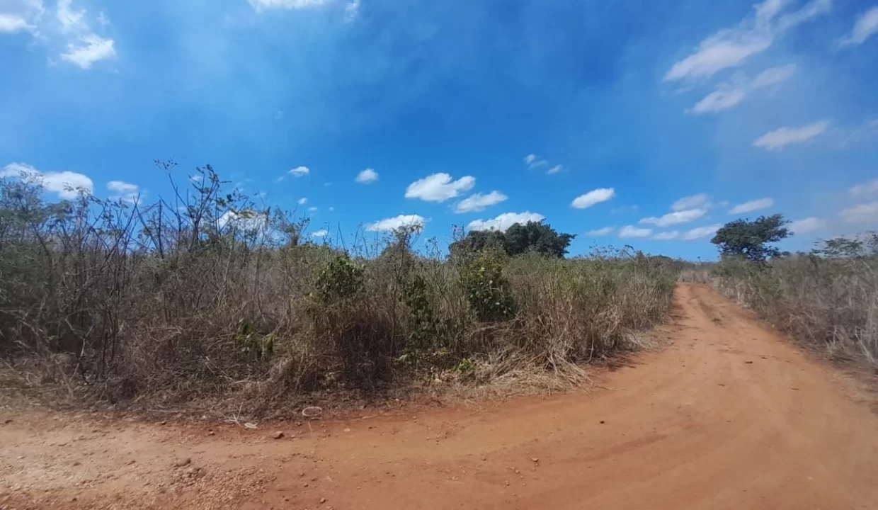 3 Arpents + 50 perches Beachfront Land For Sale – Balaclava 5