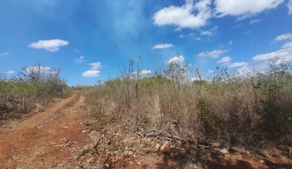 3 Arpents + 50 perches Beachfront Land For Sale – Balaclava 6