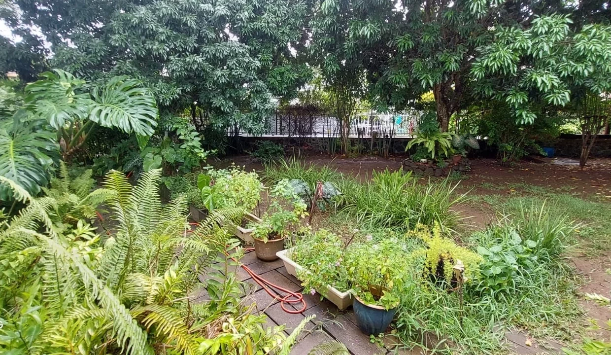 Furnished Spacious 4 Bedroom Home For Sale In Beau Bassin 5