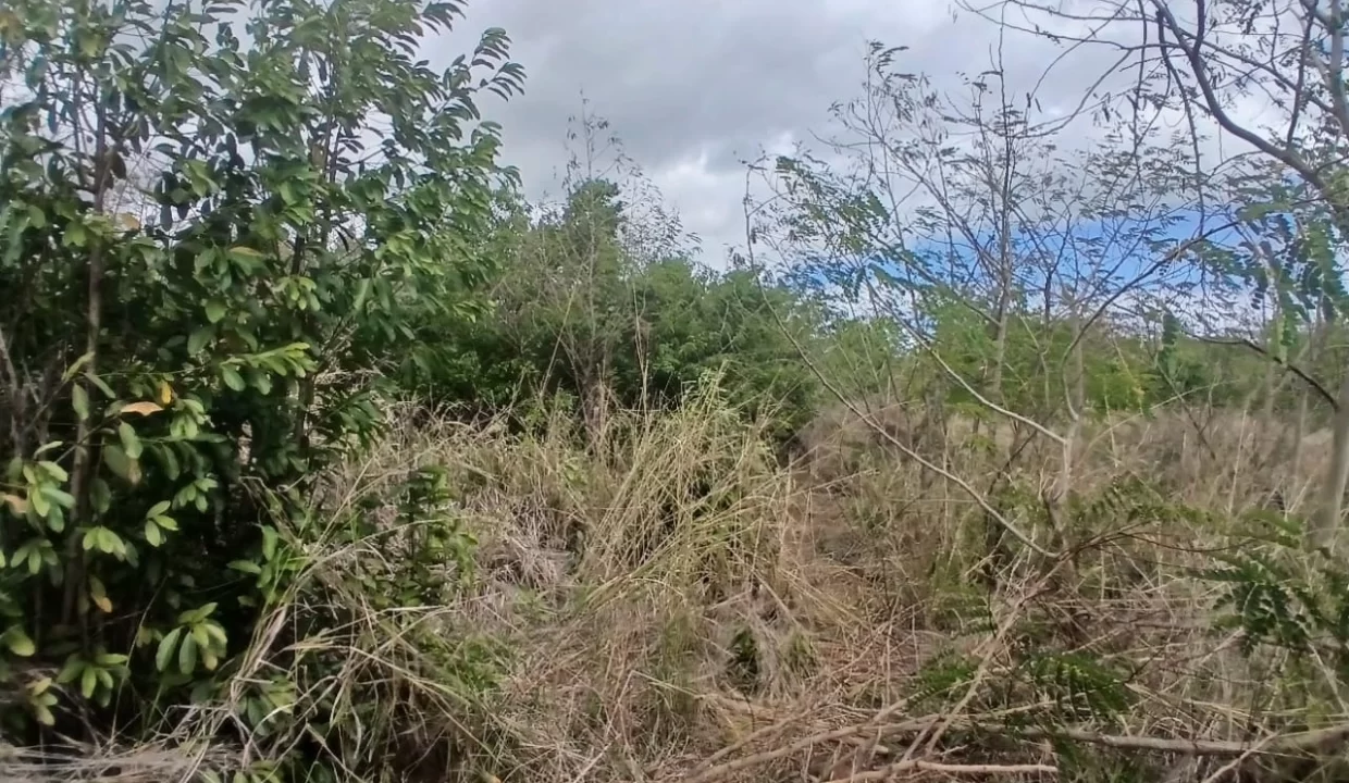 Prime Industrial Land For Sale – Arsenal 2