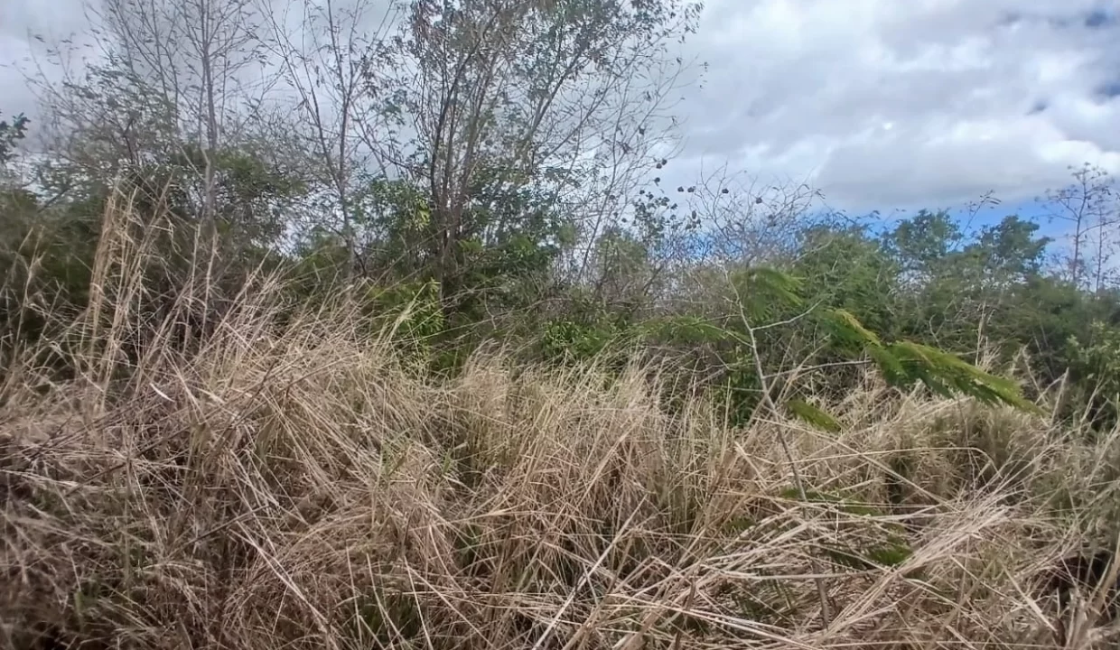 Prime Industrial Land For Sale – Arsenal 3