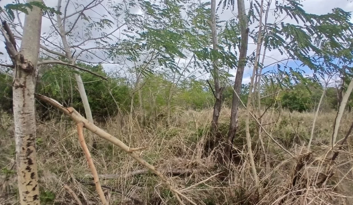 Prime Industrial Land For Sale – Arsenal 4