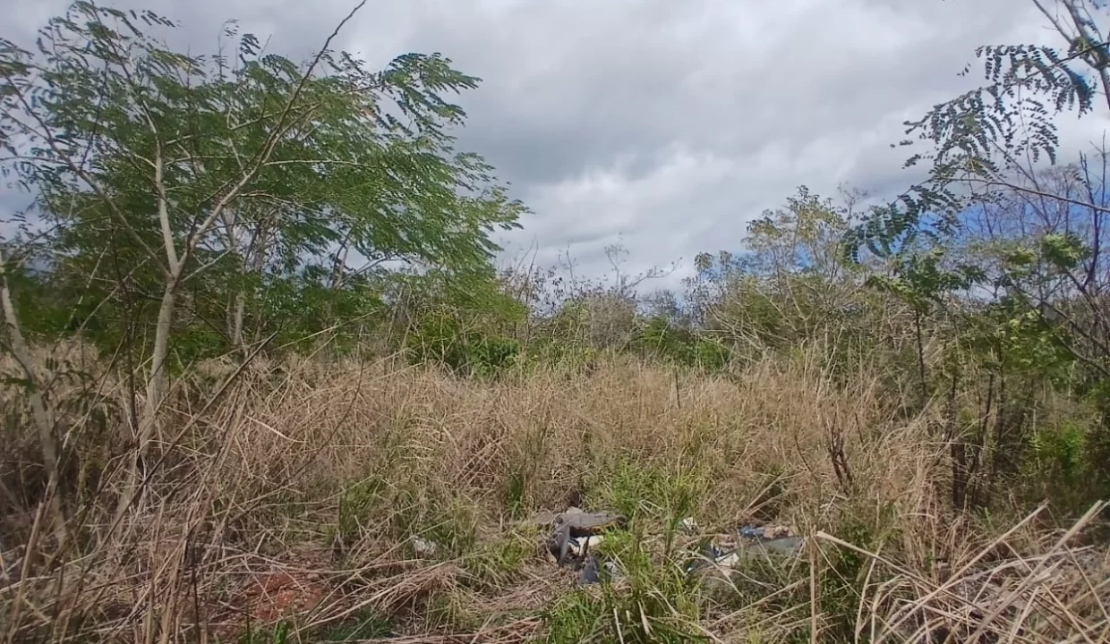 Prime Industrial Land For Sale – Arsenal 5