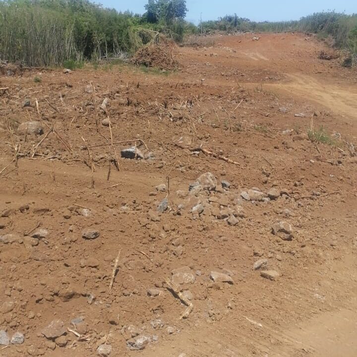 1.35 arpent-Residential land for sale in Mont Mascal,st Francois 1 (1)