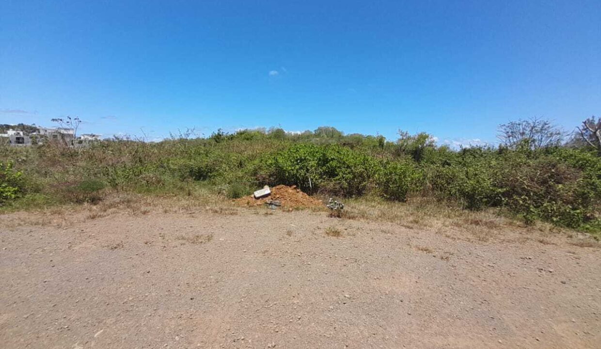 2-arpents-agricultural-land-for-sale-in-Grand-Gaube-1