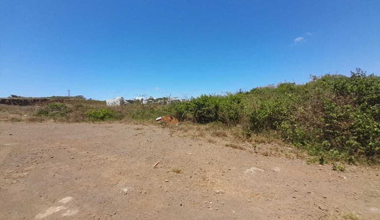 2-arpents-agricultural-land-for-sale-in-Grand-Gaube-2