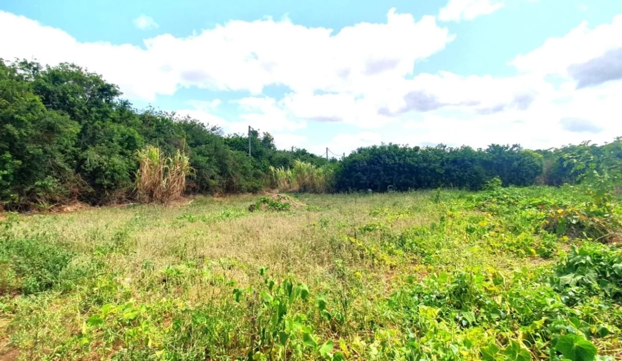 2.89 arpents Industrial Land For Sale in Pailles 3