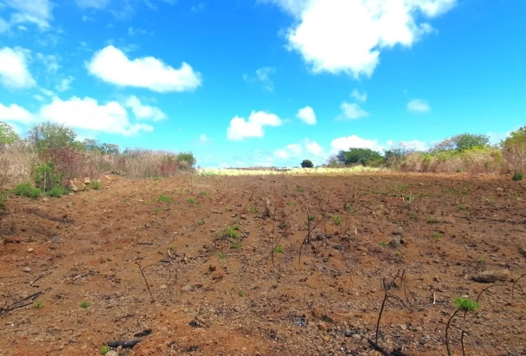 200 perches large land for sale in Baie du Tombeau