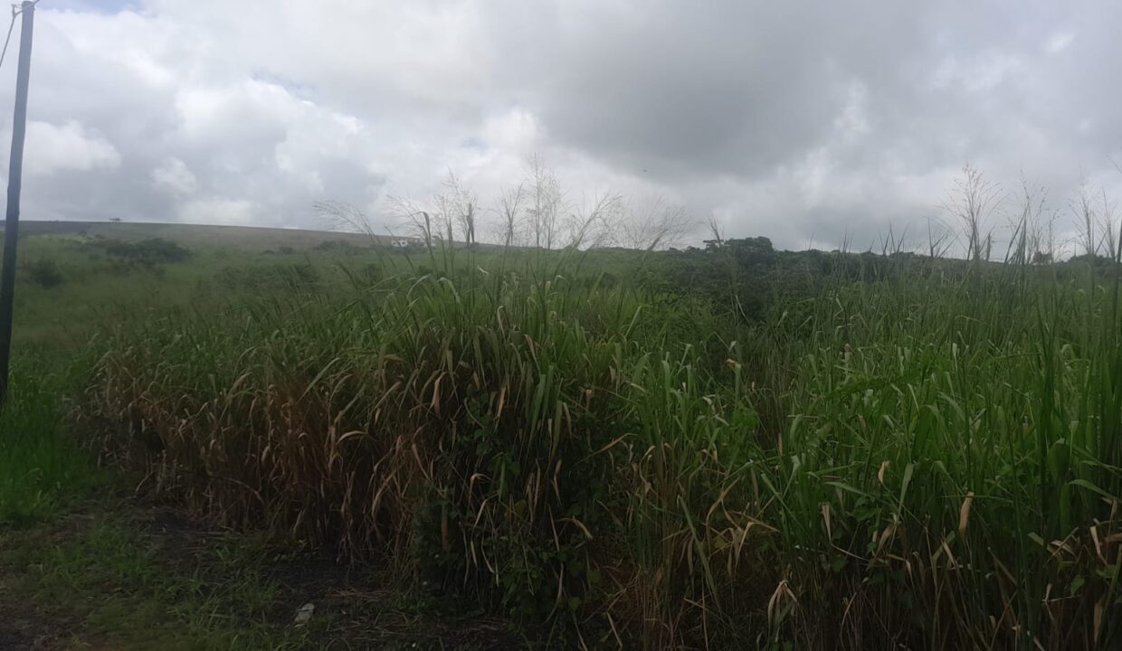 2,57 arpents Large Land For Sale In Trianon