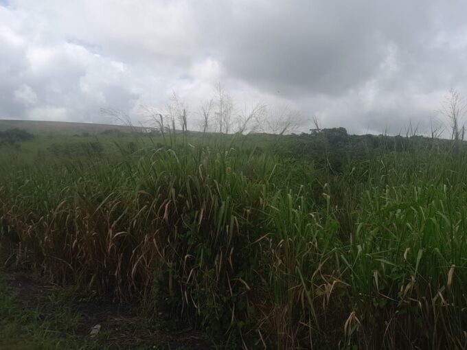 2.57 arpents Large Land For Sale In Trianon