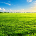 3 arpents Industrial Land For Sale in La Tour Koenig, Pointe aux Sables – Excellent location