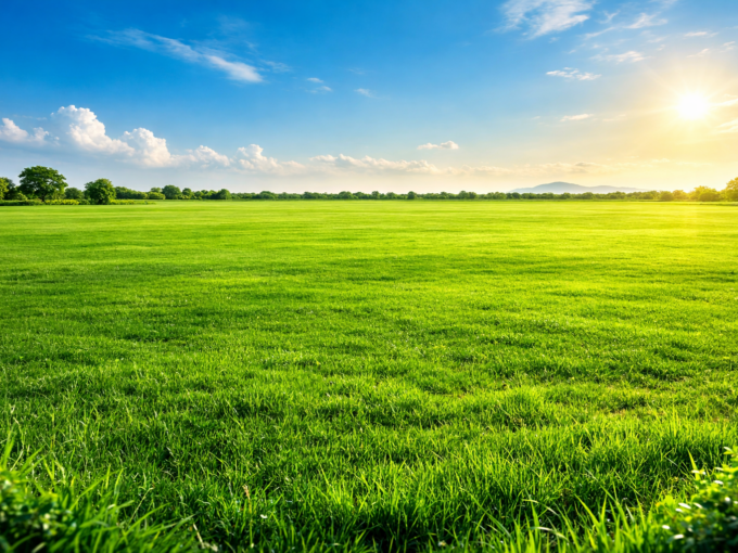 3 arpents Industrial Land For Sale in La Tour Koenig, Pointe aux Sables – Excellent location