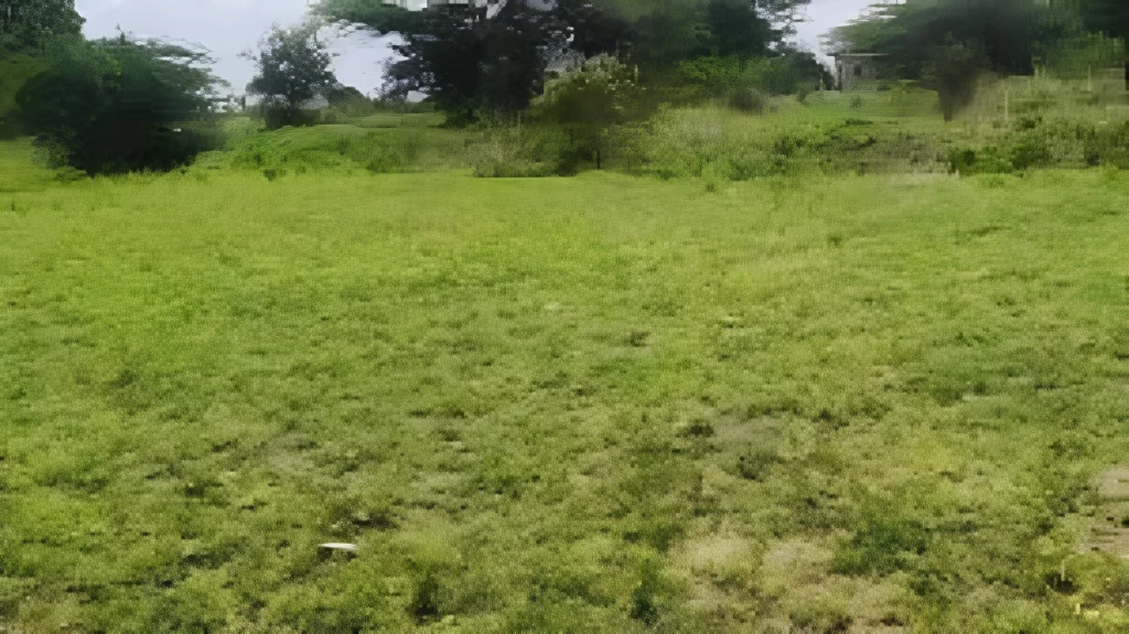 🌟 4.6 Arpents Industrial Land for Sale in La Tour Koenig-Pointe Aux Sables 🌟