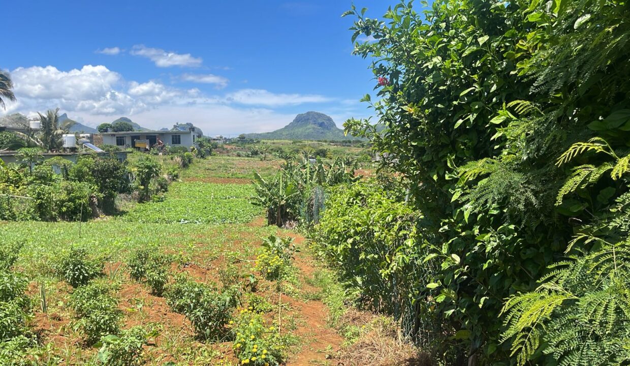 50 Perches Residential Land For Sale in Congomah, Pamplemousses 2