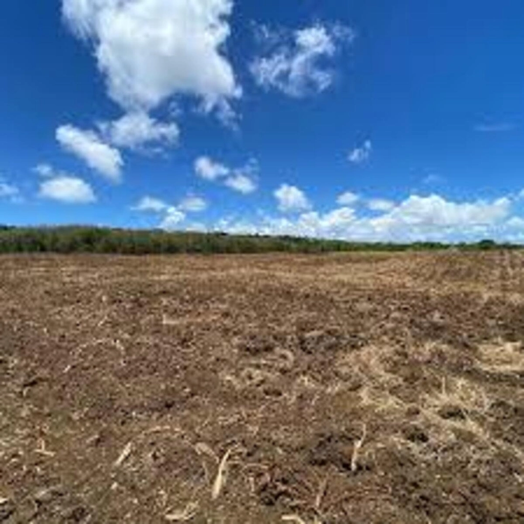 6 Acres 35 Perches Agricultural Land for Sale in Mont Mascal, Grand Baie