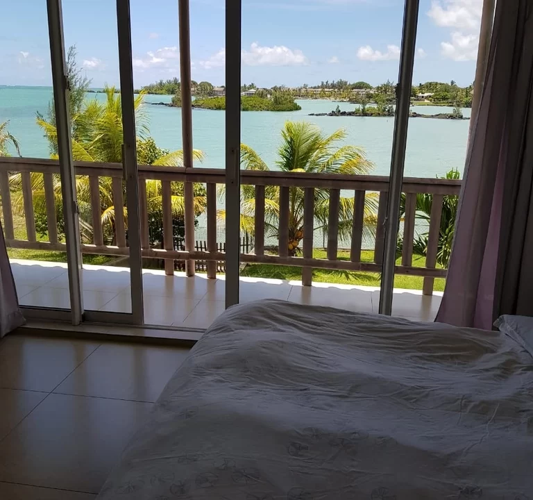 Luxurious Seafront Villa For Sale Calodyne 14