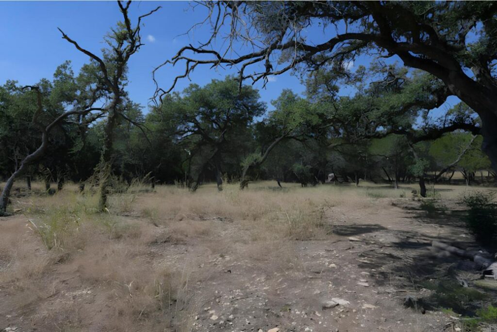 3,6 arpents land for sale in Daruty, Grand Baie