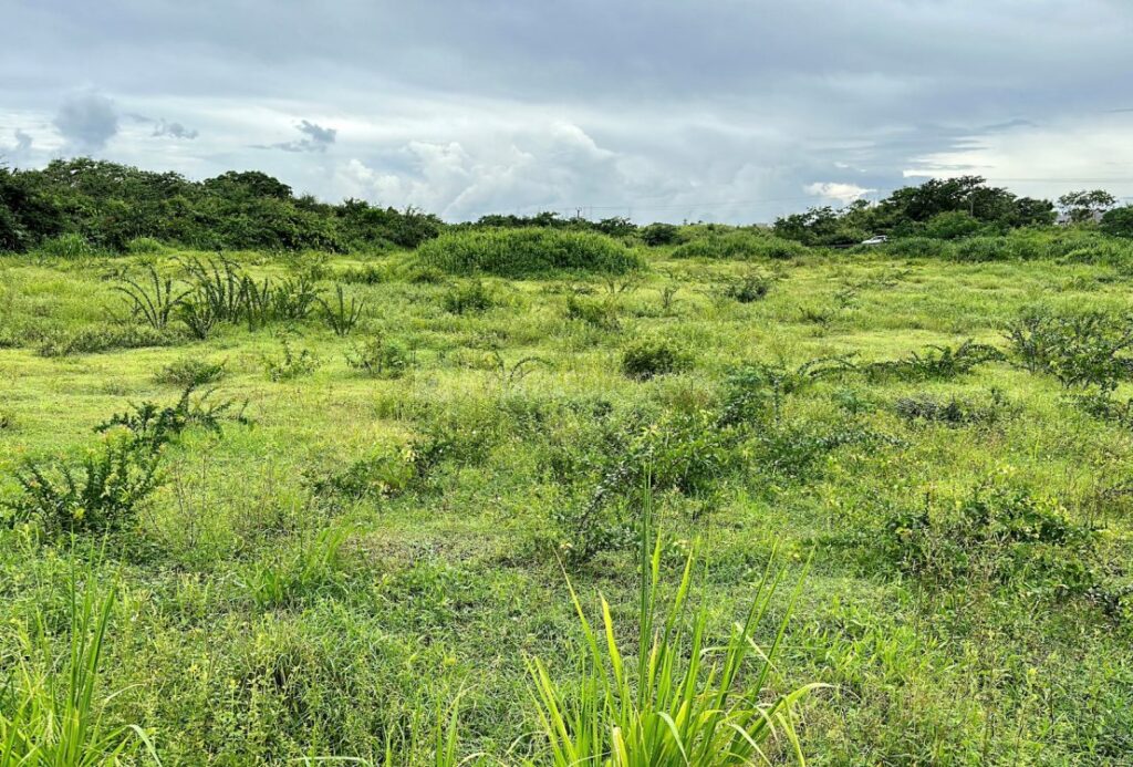 1 arpent Land for sale in Trianon