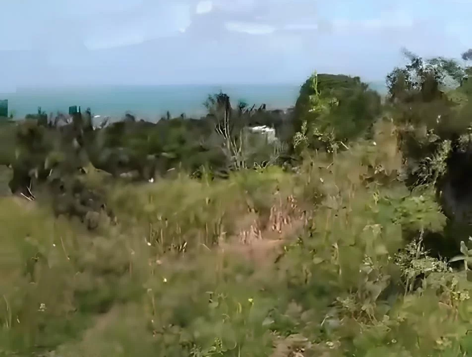 1.32 arpents Agricultural Land for Sale in Trou D’eau Douce 2