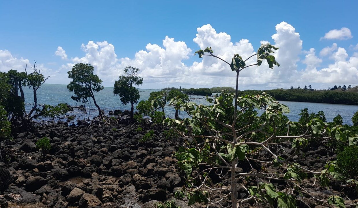 2 arpent beachfront land for sale in Île d’Ambre 3