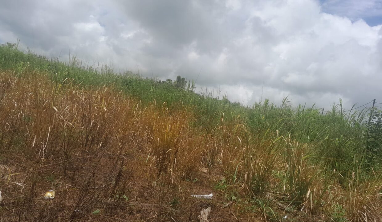 2.8 arpent commercial land for sale – Trianon