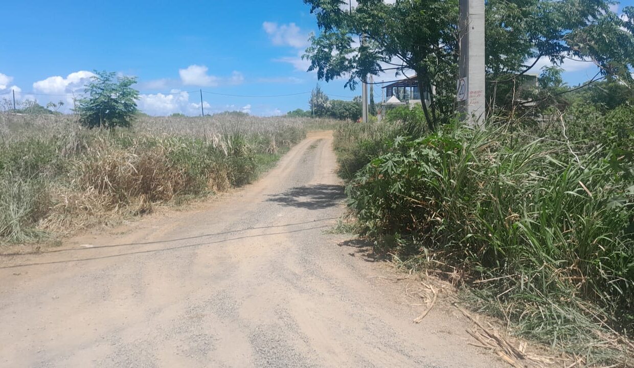 4 arpent Residential Land for Sale-Mont Mascal 1