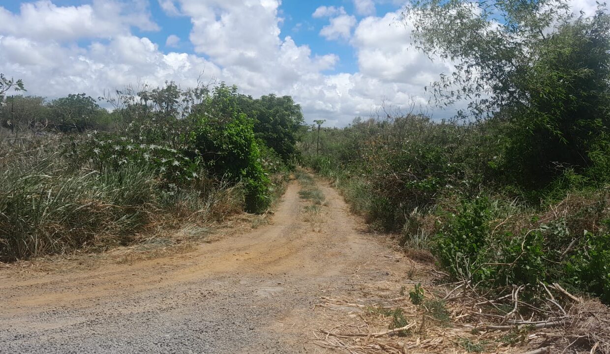 4 arpent Residential Land for Sale-Mont Mascal 2