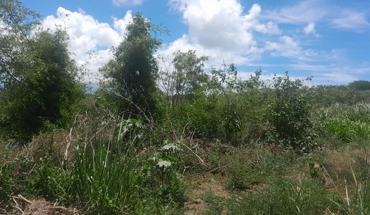 4 arpent Residential Land for Sale-Mont Mascal 3