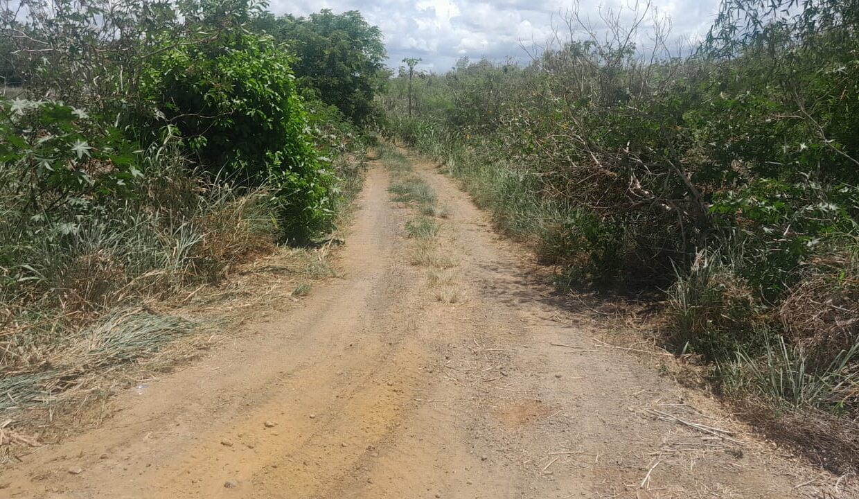 4 arpent Residential Land for Sale-Mont Mascal 4