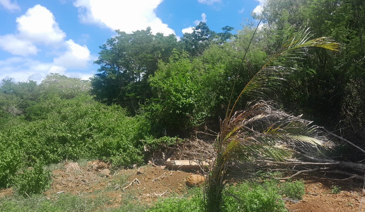 400 perches Agricultural Land for Sale in Grand Baie 1