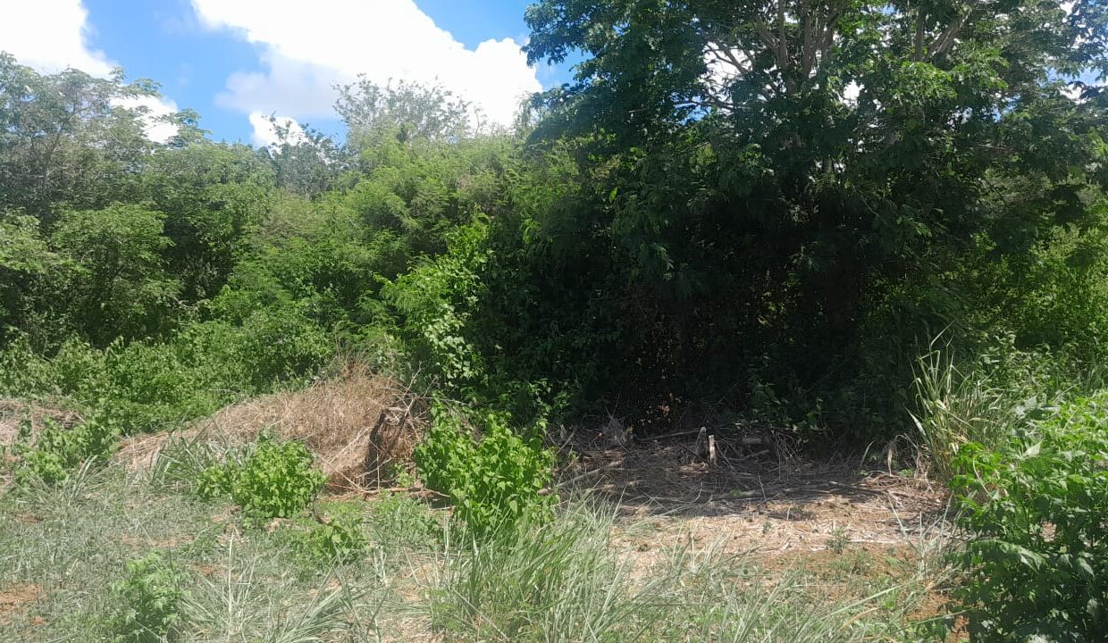 400 perches Agricultural Land for Sale in Grand Baie 2