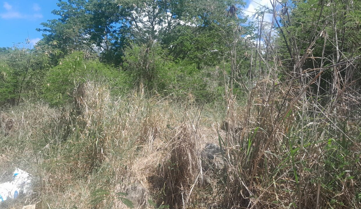 400 perches Agricultural Land for Sale in Grand Baie 3