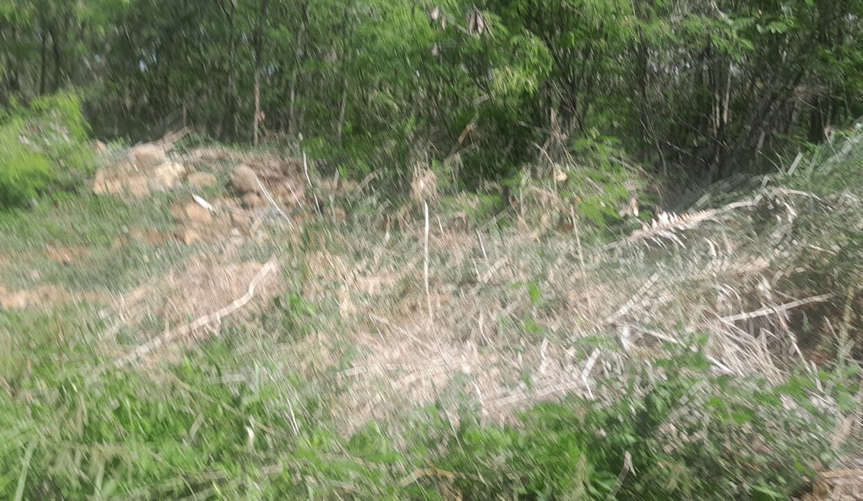 400 perches Agricultural Land for Sale in Grand Baie 4