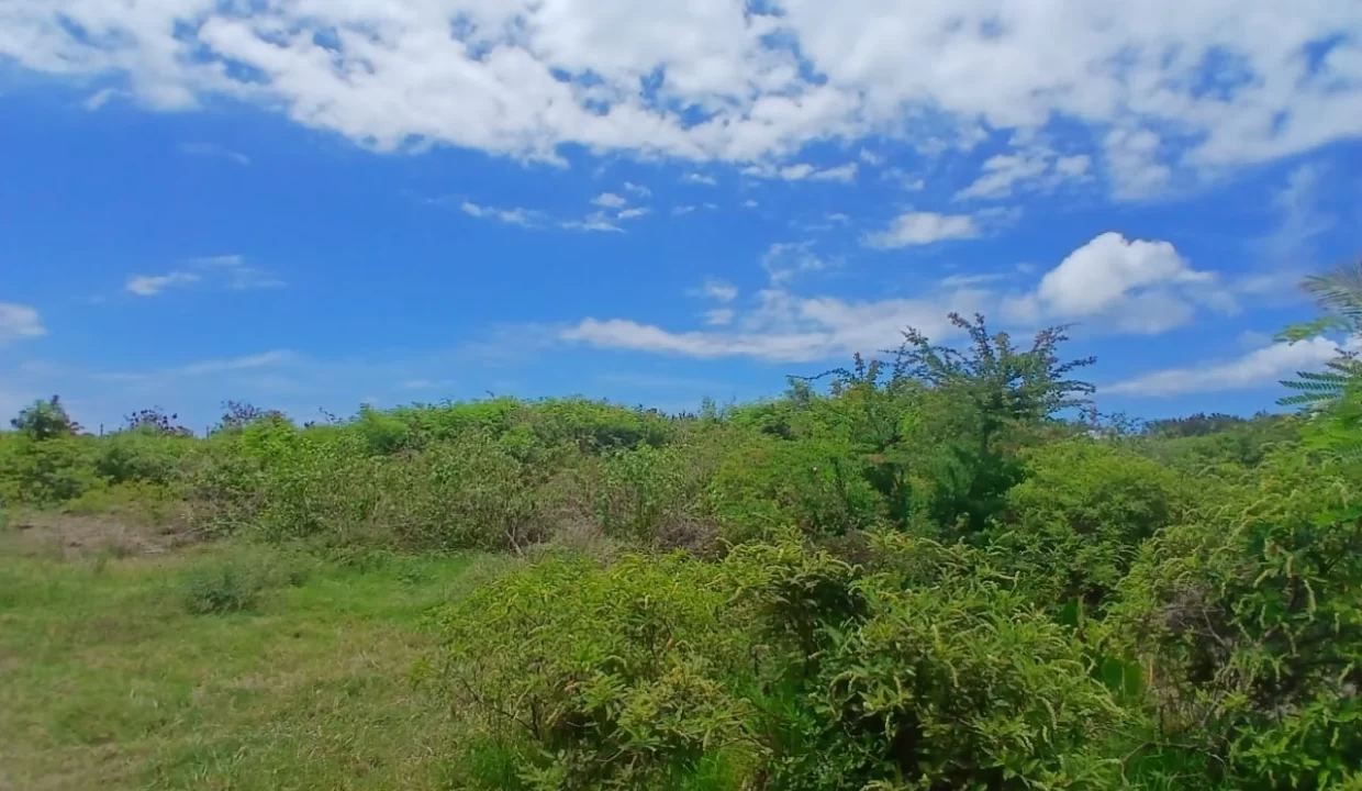 5 Arpents Residential Land for Sale in Cap Malheureux 2