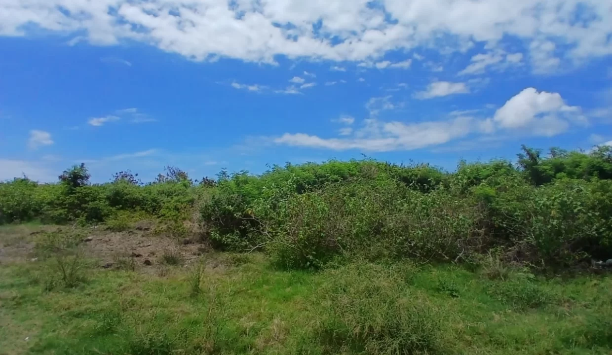 5 Arpents Residential Land for Sale in Cap Malheureux 4