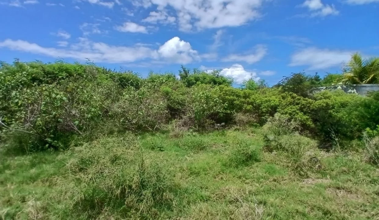 5 Arpents Residential Land for Sale in Cap Malheureux 5