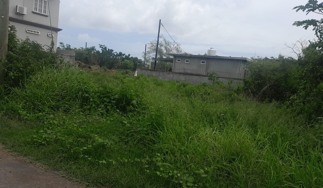 50 perches Residential Land For Sale in Grand Baie 1