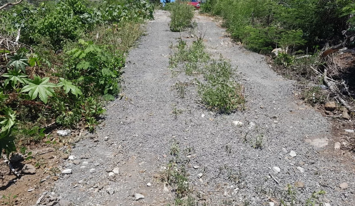 9 perches Residential Land for Sale – Calodyne, Grand Gaube 3