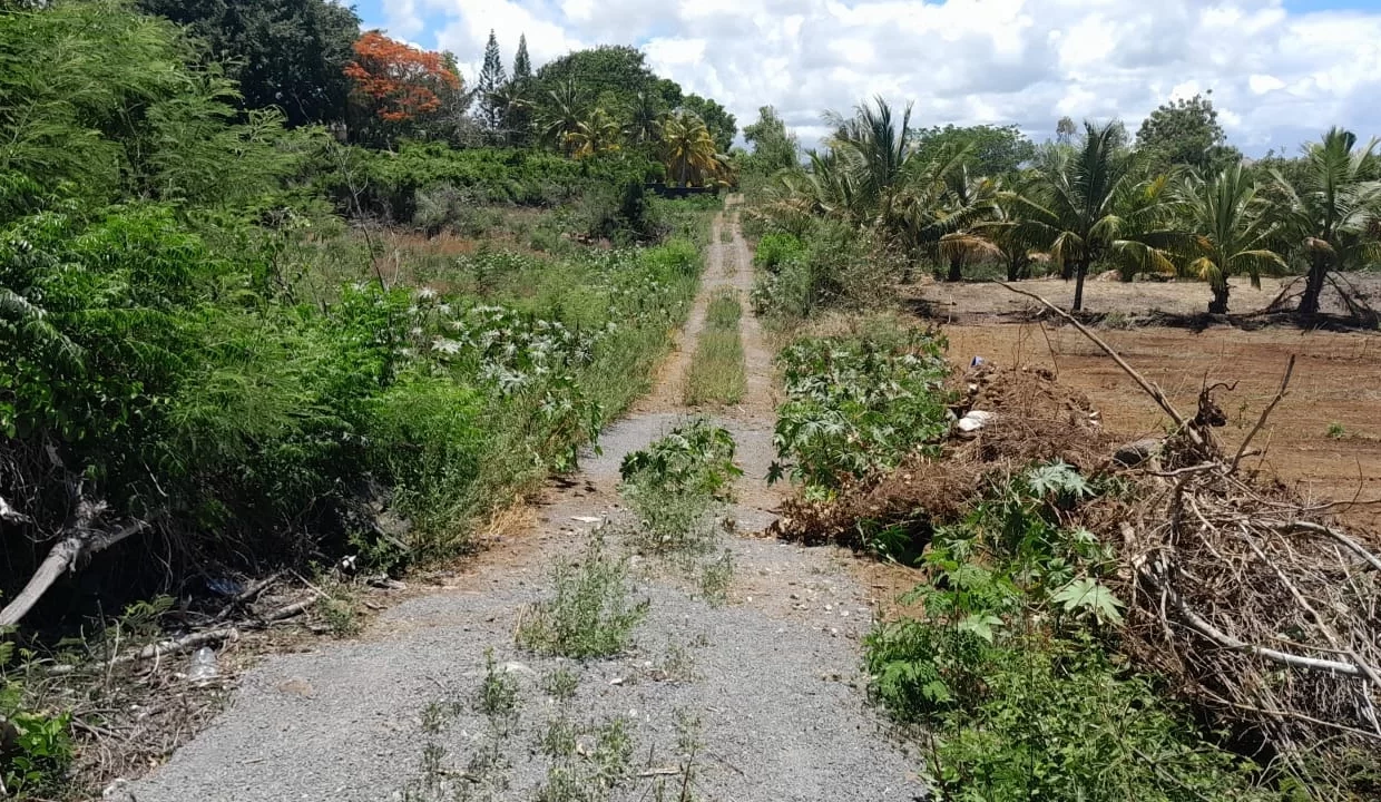 9 perches Residential Land for Sale – Calodyne, Grand Gaube 4