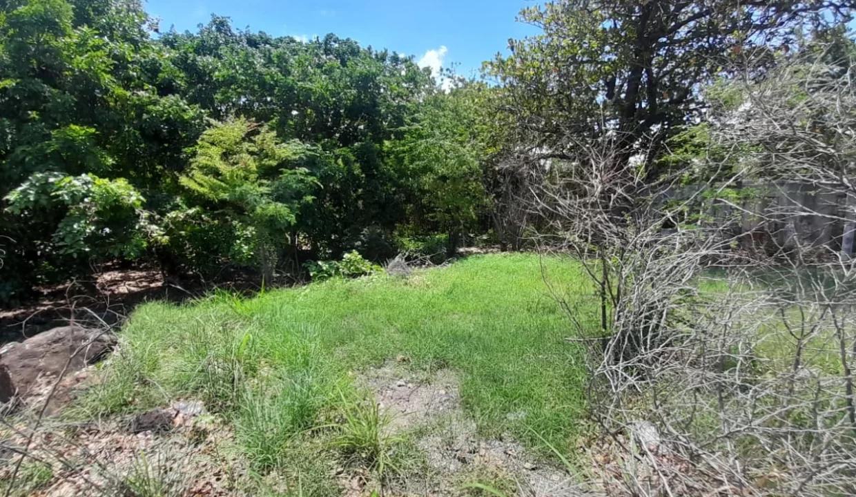 Beachfront Land for Sale in Pointe aux Sables 5