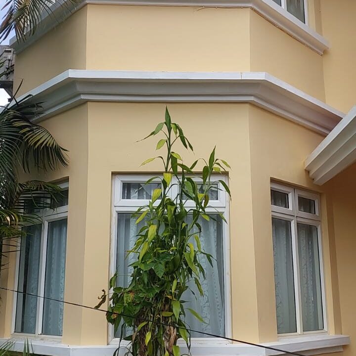 Beautiful House for Sale in Moka – Chantenay, Gentilly Road (3)