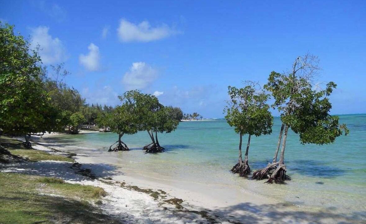 Coastal Investment Property – Poste La Fayette (21)